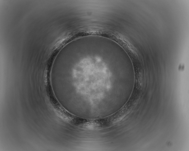 X0000097490696200802221415