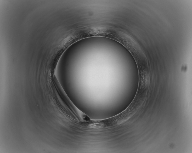 X0000097490700200802221415