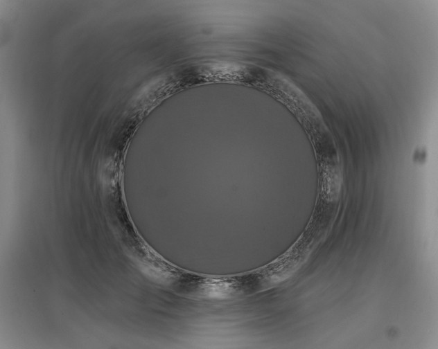 X0000097490701200802221415