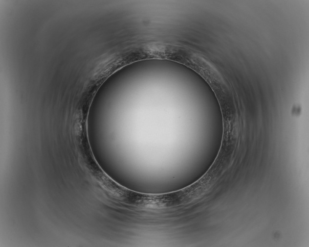 X0000097490702200802221415