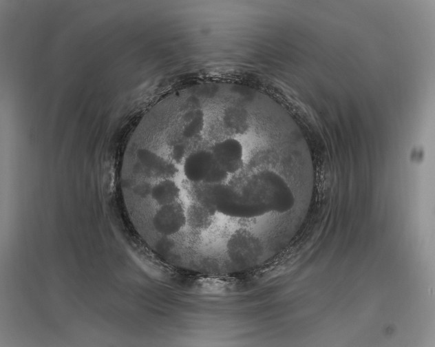 X0000097490703200802221415