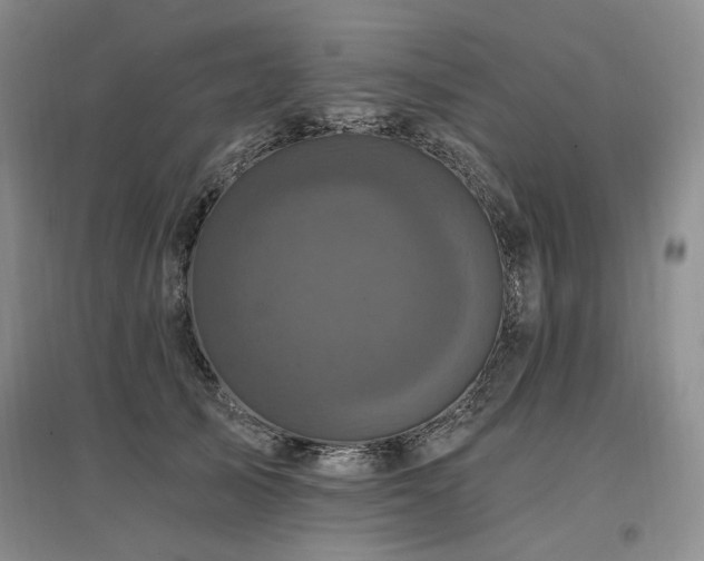 X0000097490705200802221415