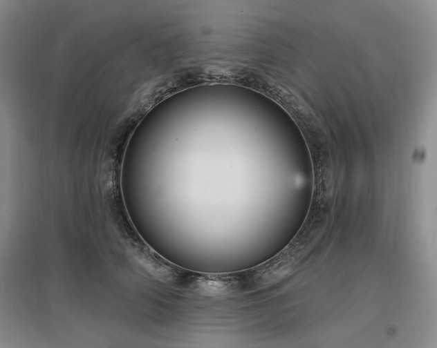 X0000097490706200802221415