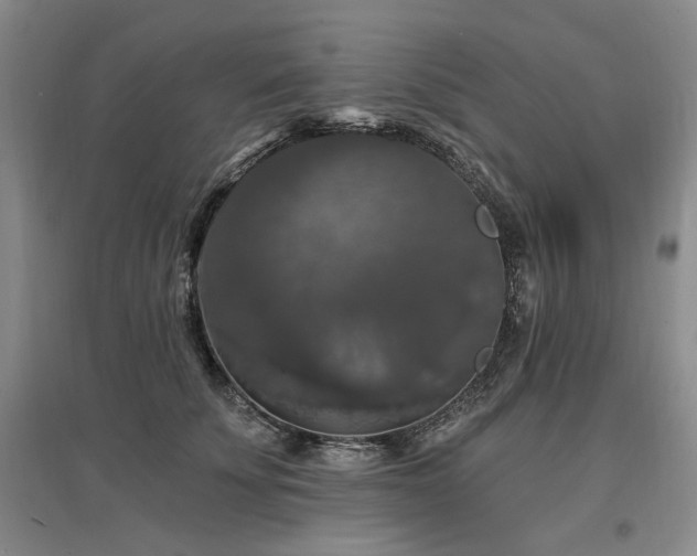 X0000097490707200802221415