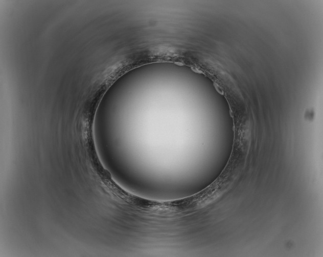 X0000097490708200802221415