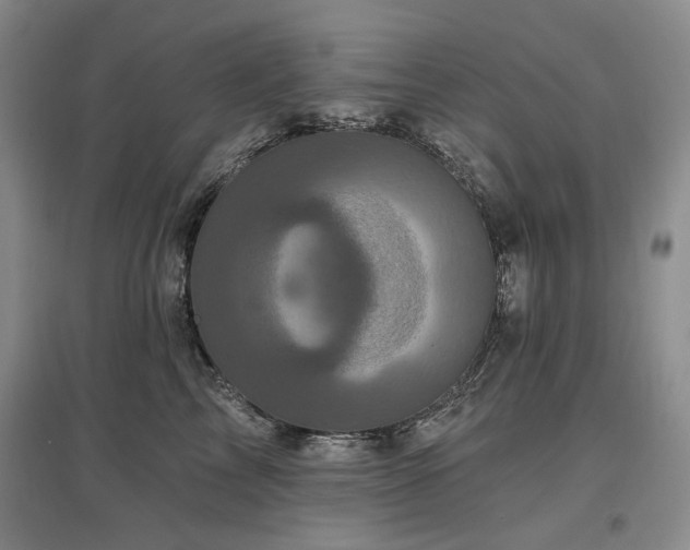 X0000097490713200802221415