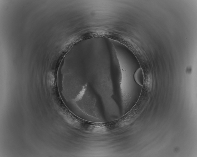 X0000097490715200802221415