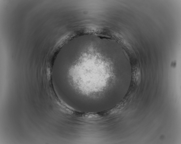 X0000097490716200802221415