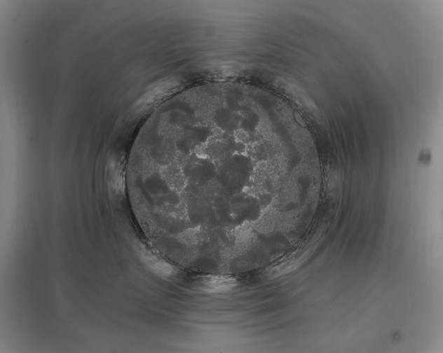 X0000097490719200802221415