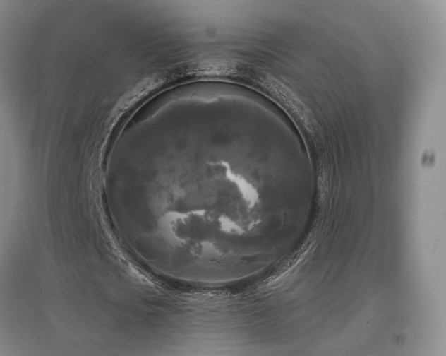 X0000097490721200802221414