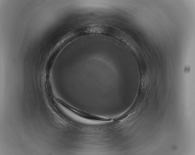 X0000097490722200802221414