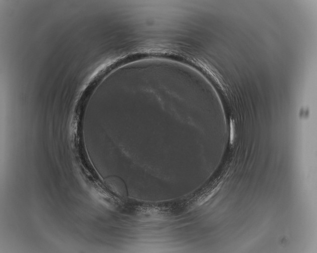 X0000097490723200802221414