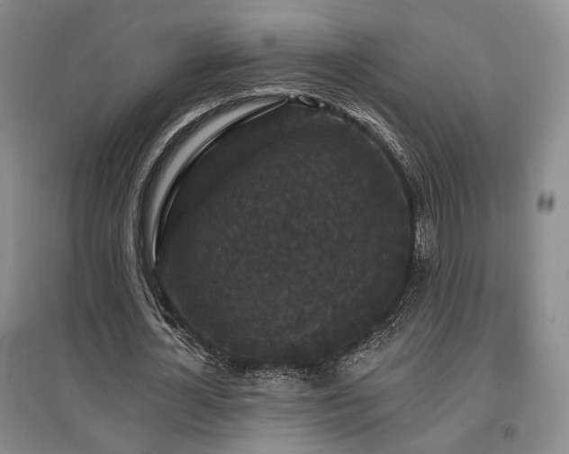 X0000097490724200802221414