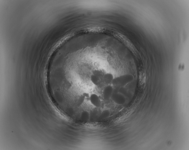 X0000097490725200802221414