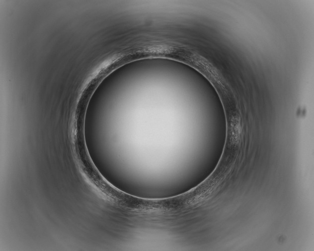 X0000097490726200802221414