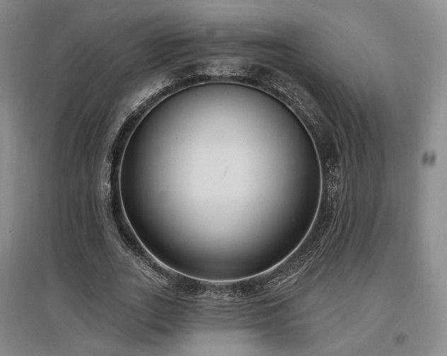 X0000097490727200802221414