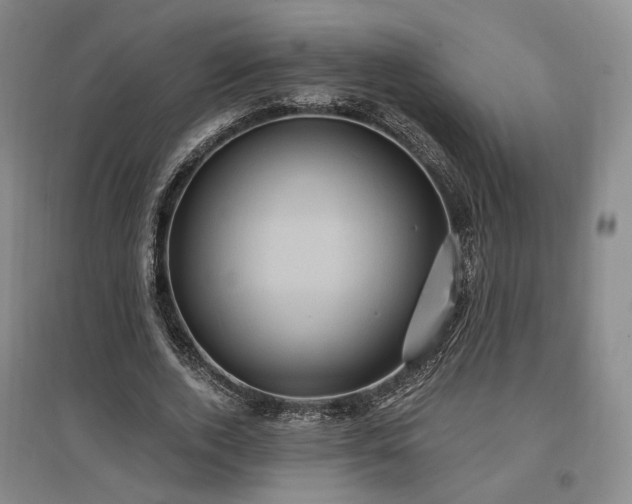 X0000097490728200802221415