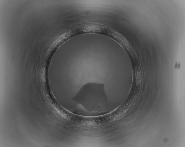 X0000097490729200802221415