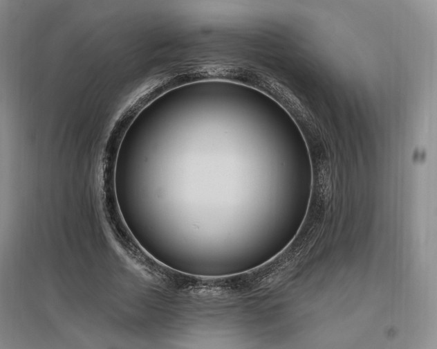 X0000097490730200802221415