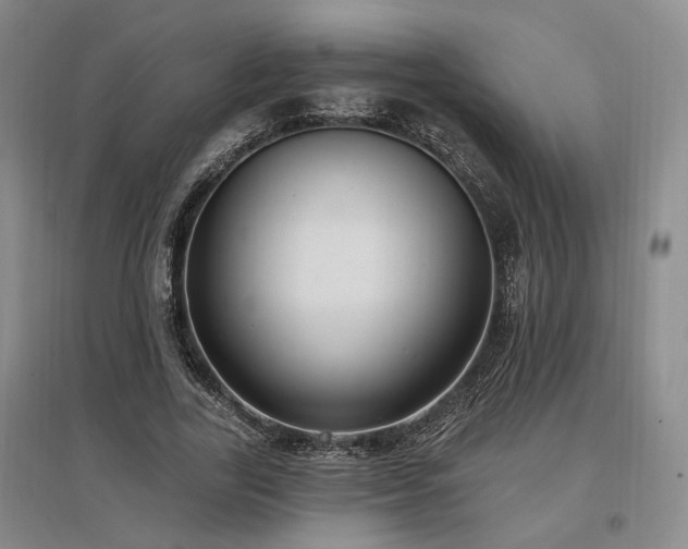 X0000097490731200802221415