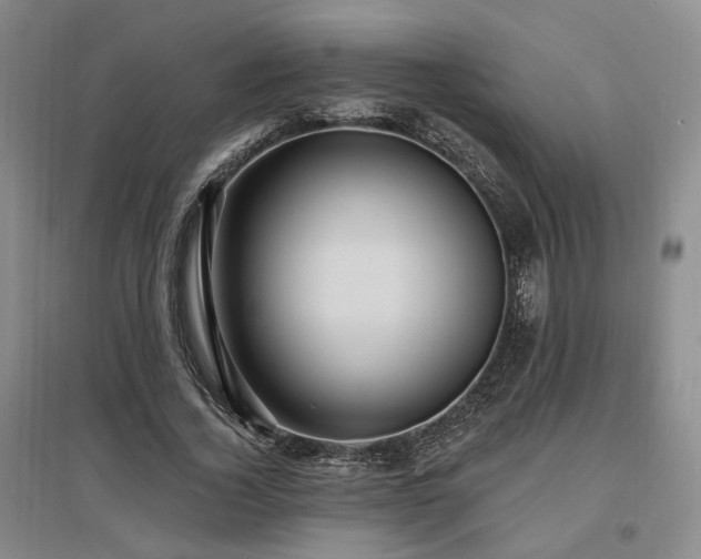 X0000097490732200802221415