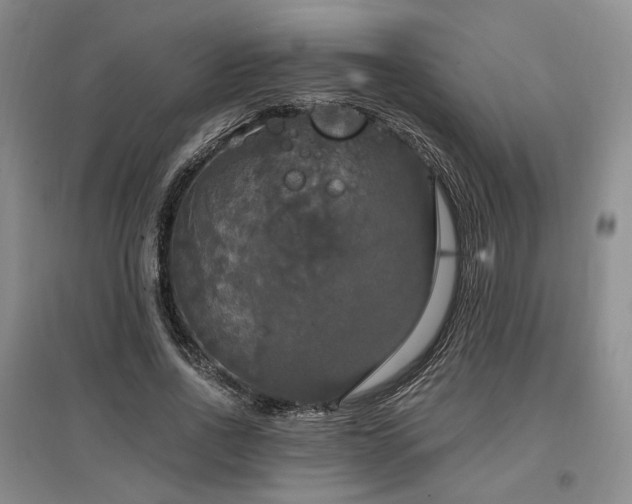 X0000097490734200802221415