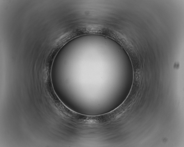 X0000097490741200802221415