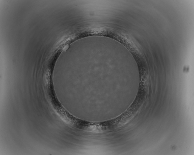 X0000097490744200802221415