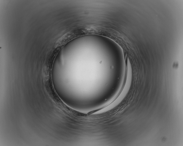 X0000097490751200802221415