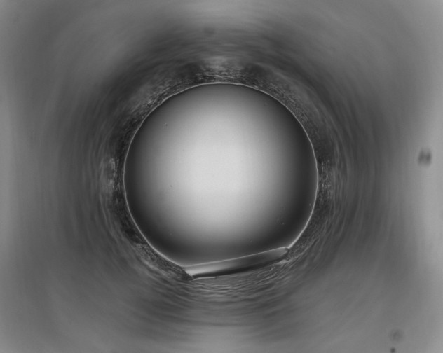 X0000097490752200802221415