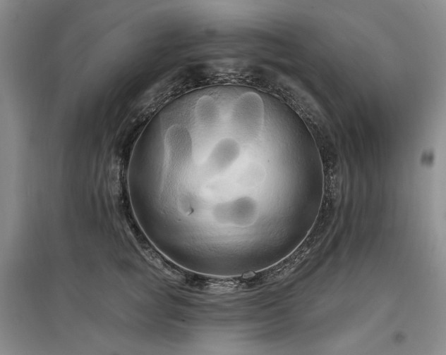 X0000097490757200802221415