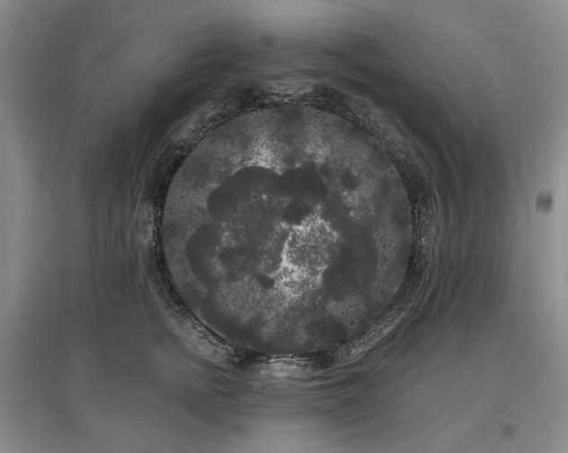 X0000097490758200802221415