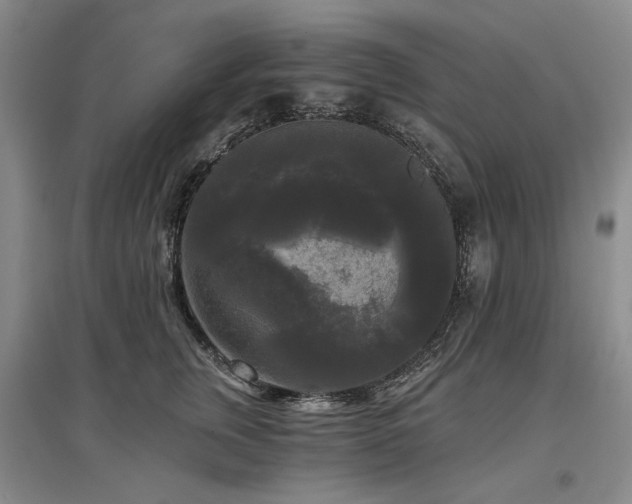 X0000097490759200802221415