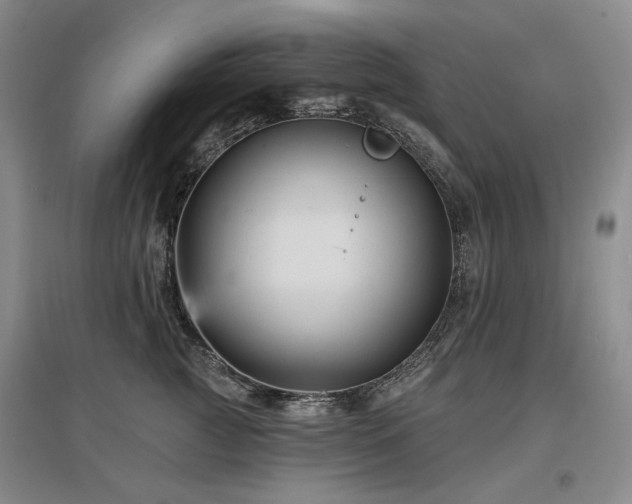 X0000097490761200802221415