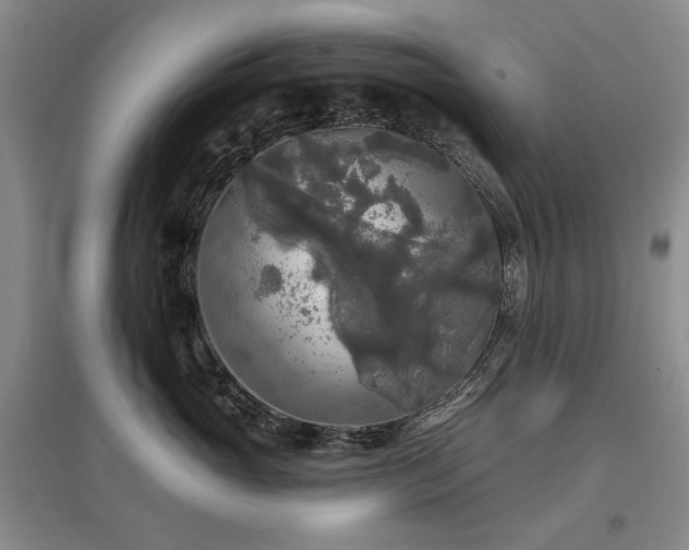 X0000097490765200802221415