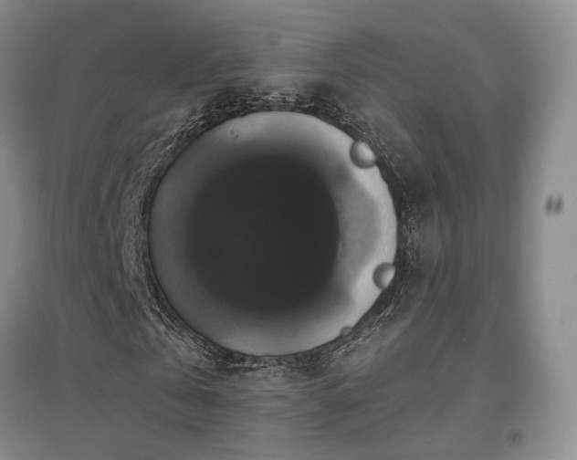 X0000097490769200802221414