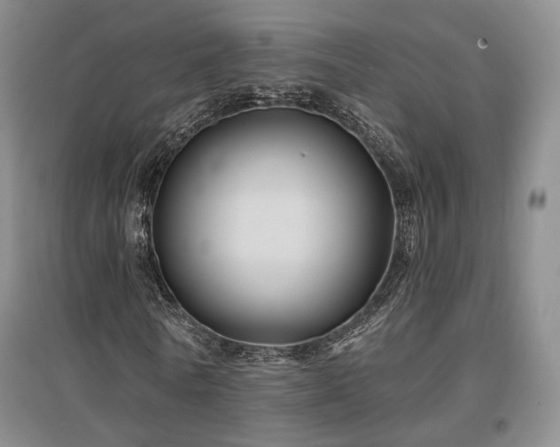X0000097490770200802221414