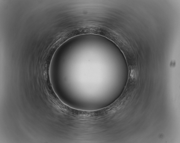 X0000097490771200802221414