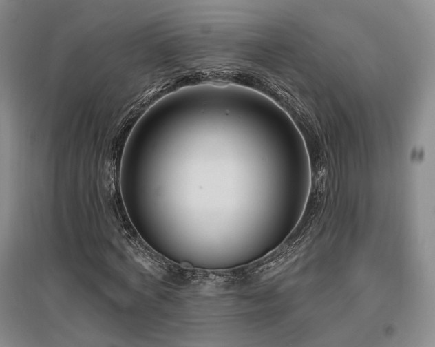 X0000097490772200802221414