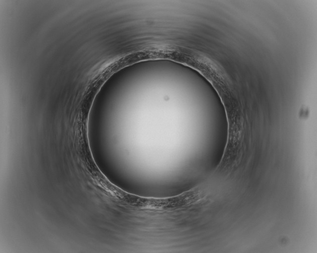 X0000097490773200802221414