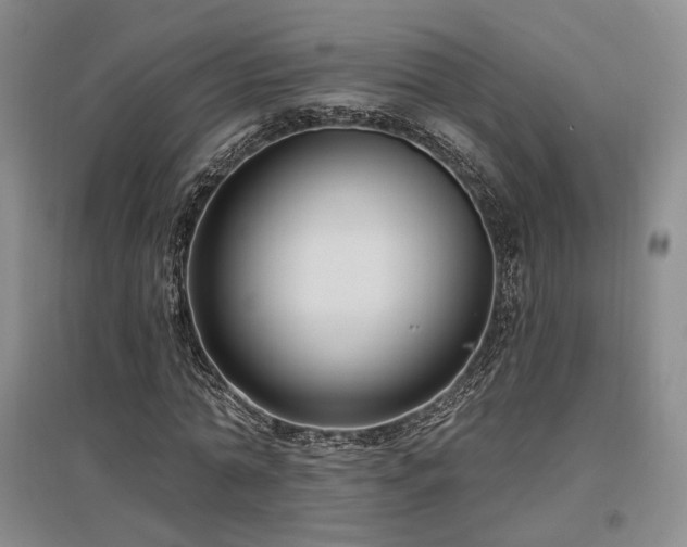 X0000097490774200802221414