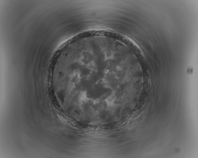 X0000097490775200802221414
