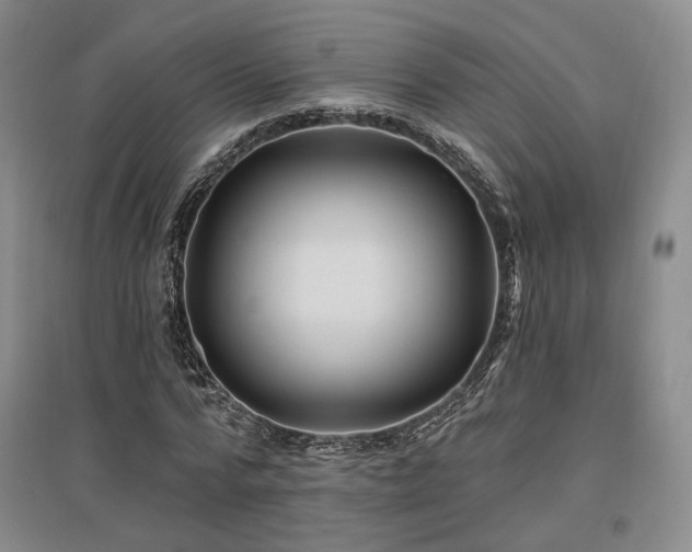 X0000097490776200802221414