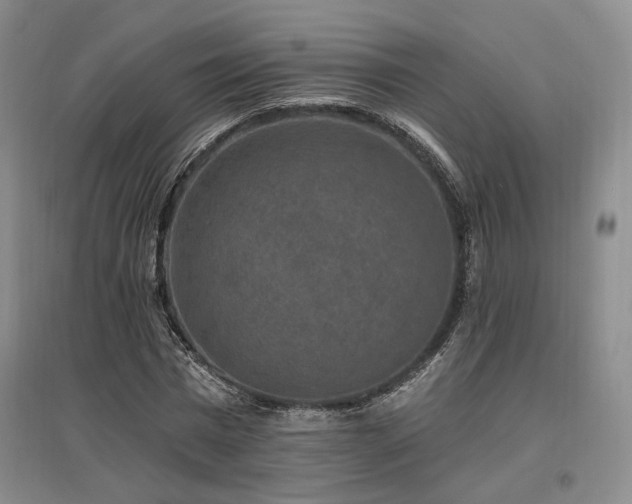 X0000097490777200802221414