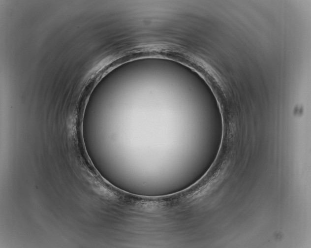 X0000097490778200802221414