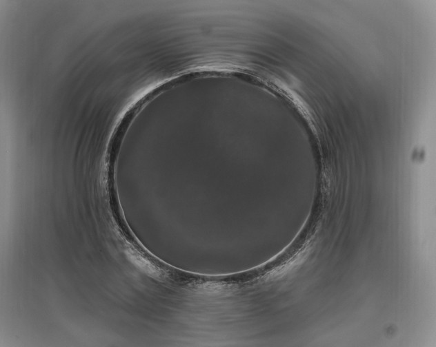 X0000097490779200802221414