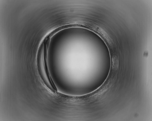 X0000097490780200802221414