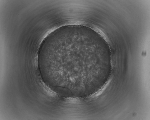 X0000097490781200802221414