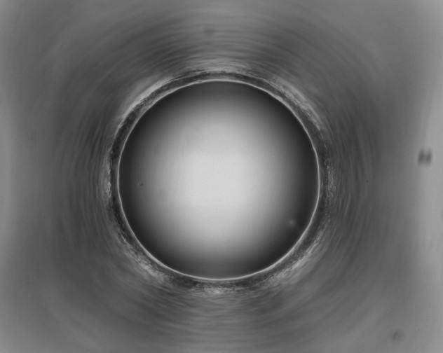 X0000097490782200802221414