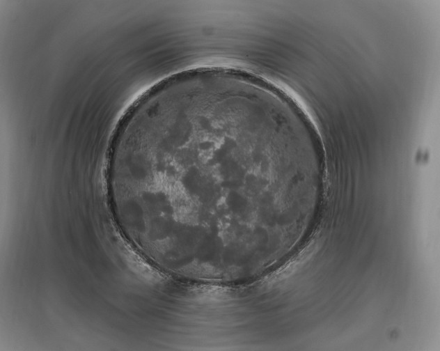 X0000097490783200802221414